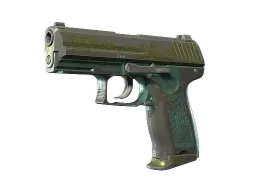 P2000 | Marsh (Battle-Scarred)