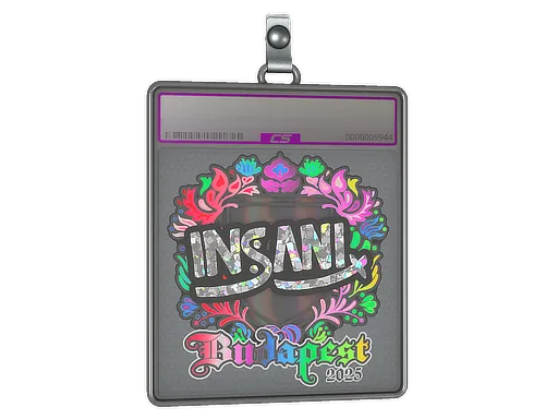 Sticker Slab | insani (Holo) | Budapest 2025