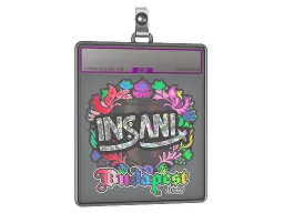 Sticker Slab | insani (Holo) | Budapest 2025