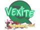 Sticker | vexite | Shanghai 2024
