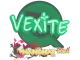 Sticker | vexite | Shanghai 2024 CS2 skin