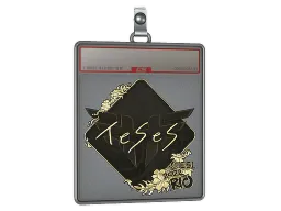 Sticker Slab | TeSeS (Gold) | Rio 2022