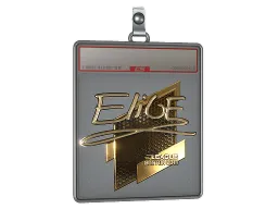 Sticker Slab | EliGE (Gold) | Boston 2018