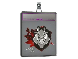 Sticker Slab | G2 Esports (Foil) | Cologne 2016