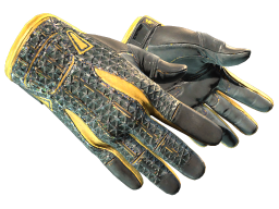 ★ Sport Gloves | Omega (Minimal Wear)