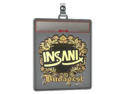 Sticker Slab | insani (Gold) | Budapest 2025