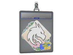 Sticker Slab | Team Spirit | Rio 2022