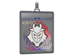Sticker Slab | G2 | 2020 RMR