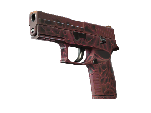 StatTrak™ P250 | Contaminant (Factory New)