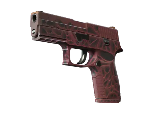 StatTrak™ P250 | Contaminant (Factory New)