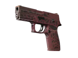 StatTrak™ P250 | Contaminant (Factory New)