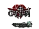 Sticker | cadiaN (Glitter) | Antwerp 2022 CS2 skin
