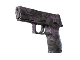 Souvenir P250 | Plum Netting (Minimal Wear)