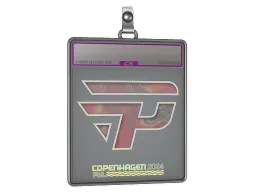 Sticker Slab | paiN Gaming (Holo) | Copenhagen 2024