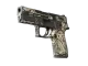 P250 | Gunsmoke CS2 skin