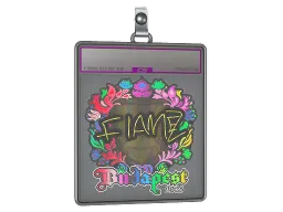 Sticker Slab | FlameZ (Holo) | Budapest 2025