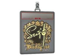 Sticker Slab | C4LLM3SU3 (Gold) | Budapest 2025