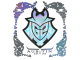 Sticker | G2 Esports (Holo) | Austin 2025