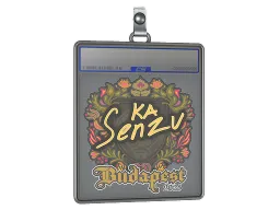 Sticker Slab | Senzu | Budapest 2025