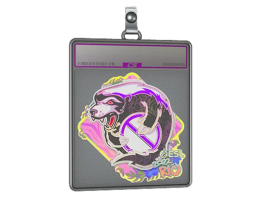 Sticker Slab | Outsiders (Holo) | Rio 2022