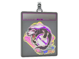 Sticker Slab | Outsiders (Holo) | Rio 2022