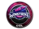 Sticker | Winstrike Team | Katowice 2019 CS2 skin