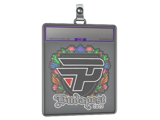 Sticker Slab | paiN Gaming (Embroidered) | Budapest 2025