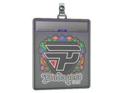 Sticker Slab | paiN Gaming (Embroidered) | Budapest 2025