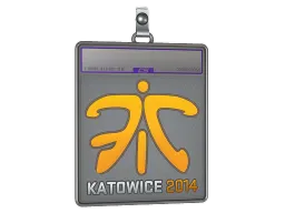 Sticker Slab | Fnatic (Holo) | Katowice 2014