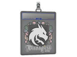 Sticker Slab | Team Spirit | Budapest 2025