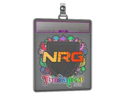 Sticker Slab | NRG (Holo) | Budapest 2025