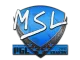 Sticker | MSL | Krakow 2017 CS2 skin