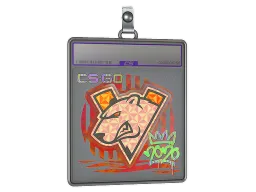 Sticker Slab | Virtus.pro (Holo) | 2020 RMR
