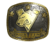 Sticker | Virtus.Pro (Gold) | Austin 2025