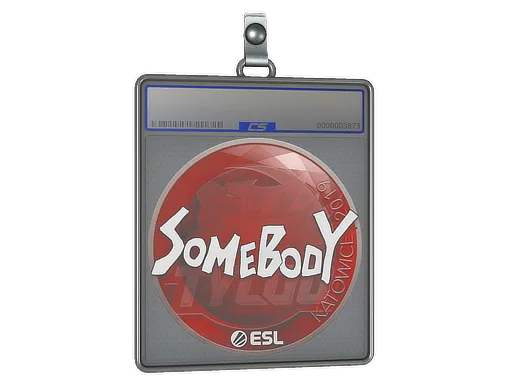 Sticker Slab | somebody | Katowice 2019