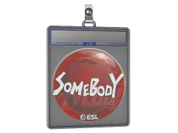 Sticker Slab | somebody | Katowice 2019
