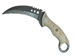 ★ Talon Knife | Damascus Steel (Battle-Scarred)