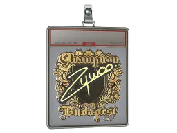 Sticker Slab | ZywOo (Gold, Champion) | Budapest 2025