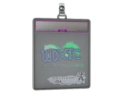 Sticker Slab | woxic (Holo) | Antwerp 2022