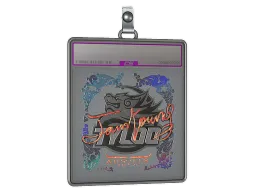 Sticker Slab | JamYoung (Holo) | Austin 2025