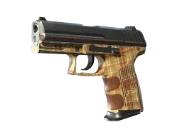 P2000 | Coach Class (Field-Tested)