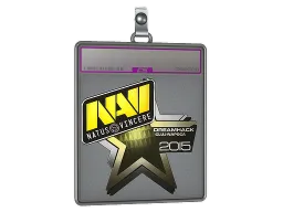 Sticker Slab | Natus Vincere (Foil) | Cluj-Napoca 2015