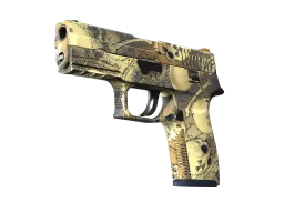 P250 | Contamination (Minimal Wear)