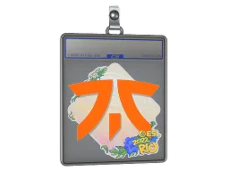 Sticker Slab | Fnatic | Rio 2022
