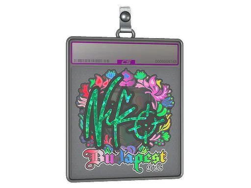 Sticker Slab | NiKo (Holo) | Budapest 2025