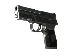 P250 | Cartel (Well-Worn)