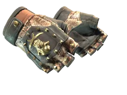 ★ Bloodhound Gloves | Snakebite (Well-Worn)