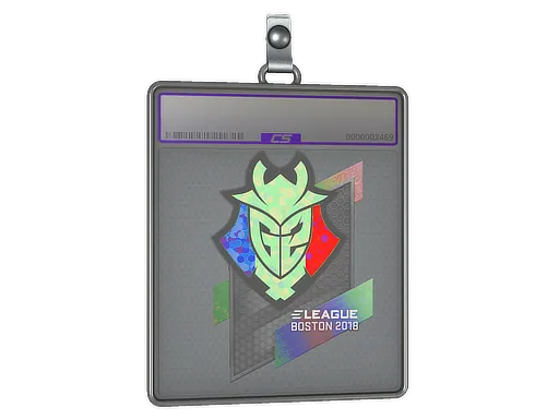 Sticker Slab | G2 Esports (Holo) | Boston 2018