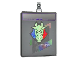 Sticker Slab | G2 Esports (Holo) | Boston 2018
