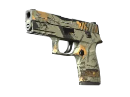 P250 | Modern Hunter CS2 skin